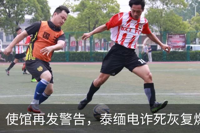使馆再发警告,泰缅电诈死灰复燃,大量国人遭诱骗,谁在自寻死路